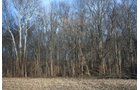 Property photo 11 - REAL ESTATE AUCTION - 84.5+/- ACRES IN 4 TRACTS IN WHITLEY COUNTY, INDIANA
